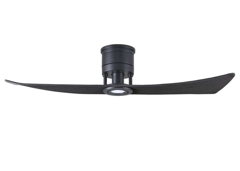 Lindsay ceiling fan in Matte Black finish with 52&#34; solid matte black wood blades and eco-frien