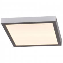 Access 20076LEDD-SILV/ACR - Outdoor LED Flush Mount