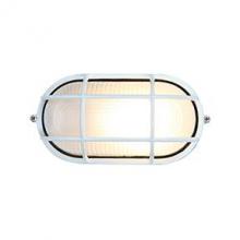 Access 20290LEDDLP-WH/FST - 1 Light Outdoor LED Bulkhead