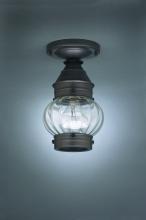 Northeast Lantern 2014-VG-MED-OPT - Onion Flush No Cage Verdi Gris Medium Base Socket Optic Glass