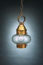 Northeast Lantern 2022-VG-MED-OPT - Onion Hanging No Cage Verdi Gris Medium Base Socket Optic Glass