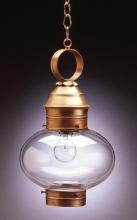 Northeast Lantern 2042-VG-MED-OPT - Onion Hanging No Cage Verdi Gris Medium Base Socket Optic Glass